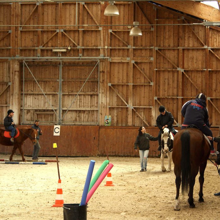 Riabilitazione equestre 10